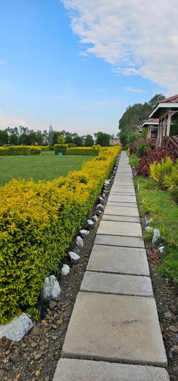Juniper Park Resort Nyahururu Extérieur photo